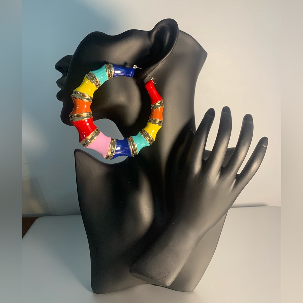 Multi Colored Hoop Earrings